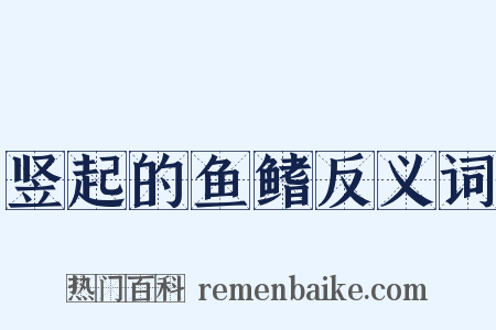 竖起的鱼鳍反义词是什么意思的图片